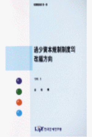 차입금,외국인투자,손금산입,간접외국세액공제제도